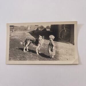 1922 Little Boy With Collie Dog Photograph Fremont OH TK3-G